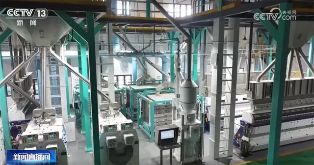 “铁海联运”“黄金水道”按下秋粮运输“加速键”为全国粮食安全筑牢坚实屏障(图9)