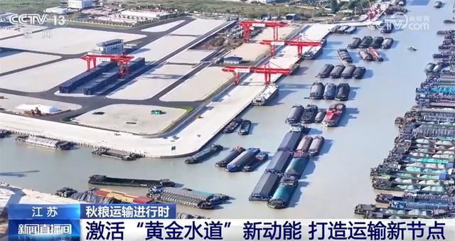 “铁海联运”“黄金水道”按下秋粮运输“加速键”为全国粮食安全筑牢坚实屏障(图8)