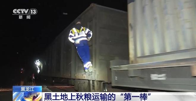 破解运力紧张黑土地秋粮运输按下“加速键”(图4)