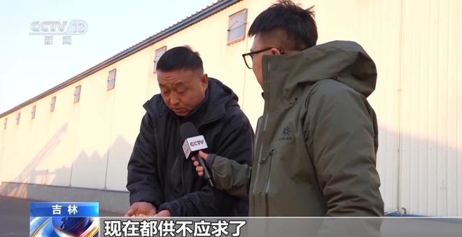 破解运力紧张黑土地秋粮运输按下“加速键”(图8)