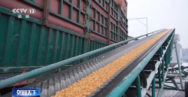 破解运力紧张黑土地秋粮运输按下“加速键”(图12)