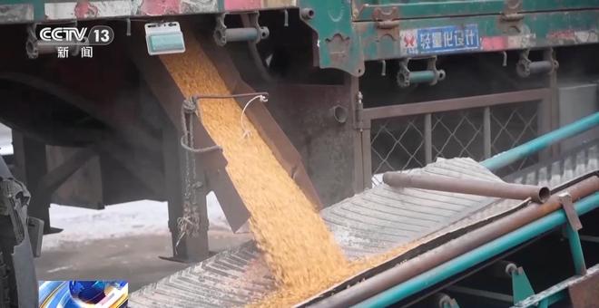 破解运力紧张黑土地秋粮运输按下“加速键”(图11)