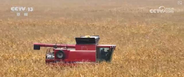 智慧运输！创新“组合拳”保障粮食运输“大动脉”智能、绿色、高效(图20)