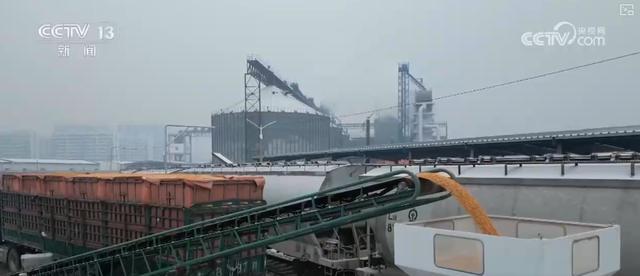 智慧运输！创新“组合拳”保障粮食运输“大动脉”智能、绿色、高效(图11)