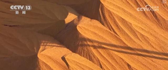 智慧运输！创新“组合拳”保障粮食运输“大动脉”智能、绿色、高效(图8)