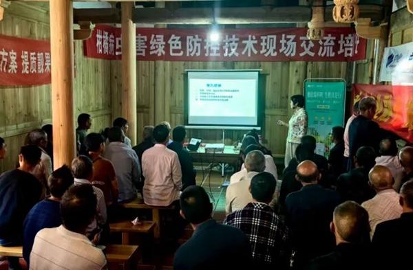 J9九游会：永春横口福中村：合作社牵线小芦柑串起乡村致富链(图2)