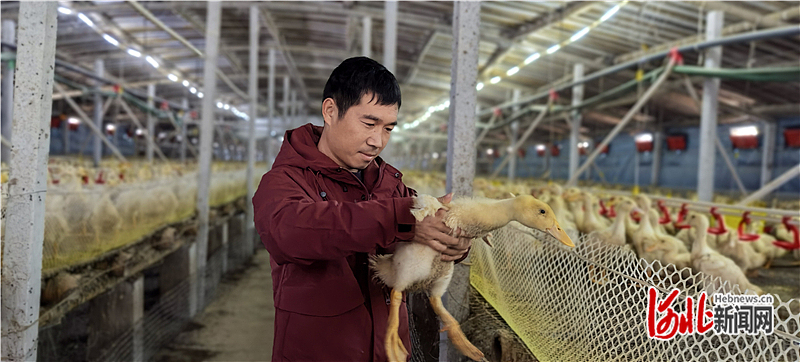 奋进的河北·“十四五”答卷丨身边的“十四五”（十一）：不同的增收路径一样的幸福笑脸(图4)