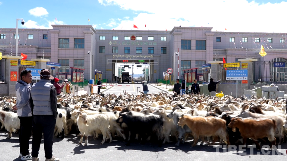 古道焕新颜里孜口岸外贸文旅新能源出口齐焕生机(图4)