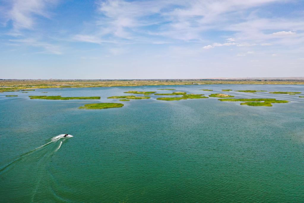 J9九游会：econtent(图2)