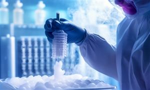 2024年中国散货船行业市场发展现状及重点企业(图5)