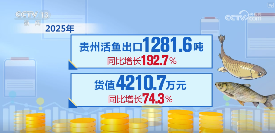 “迅猛增长”“进口+产业”“零突破”活力涌动！从关键词里解码区域外贸亮点(图5)