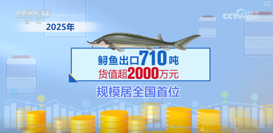 “迅猛增长”“进口+产业”“零突破”活力涌动！从关键词里解码区域外贸亮点(图6)