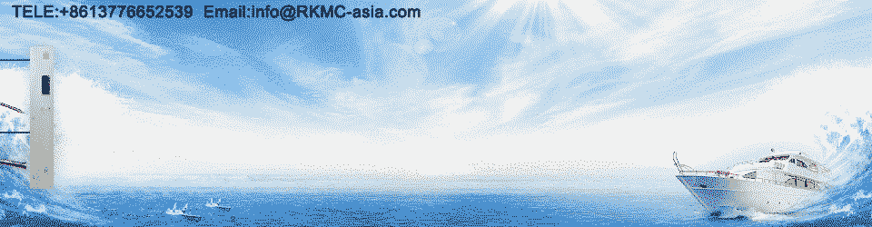 【订单】芜湖造船厂中标2艘散货船(图2)