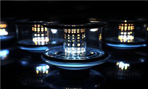 中国干散货船行业竞争格局分析与未来趋势预测(图6)