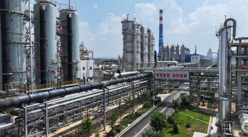 临汾何以“一城清新”？(图3)