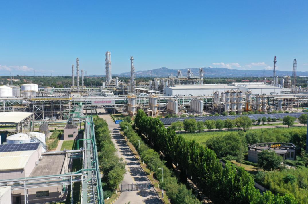 临汾何以“一城清新”？(图2)