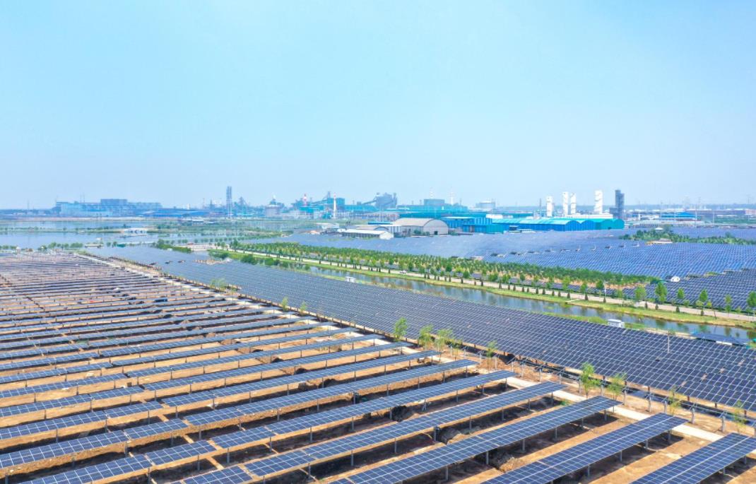 临汾何以“一城清新”？(图4)