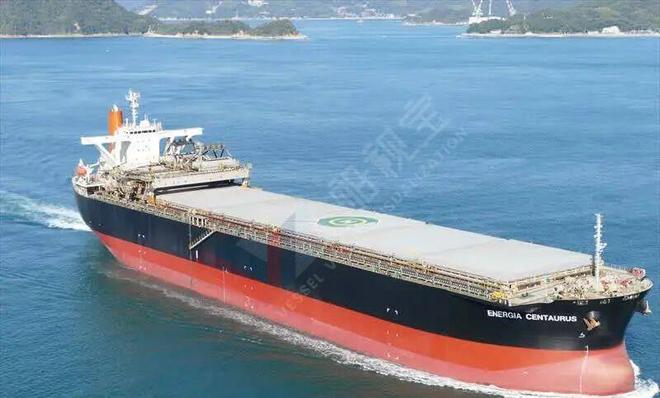 燃油价格暴涨！一些老旧散货船“被逼”拆船(图3)