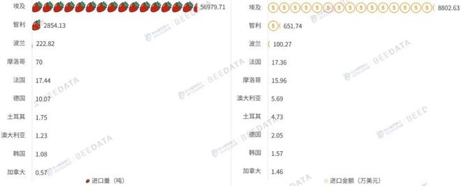 2025年中国草莓贸易大变局！净出口腰斩埃及成最大进口来源(图5)