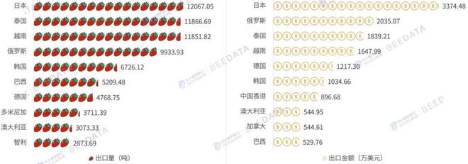 2025年中国草莓贸易大变局！净出口腰斩埃及成最大进口来源(图6)