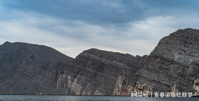 九游会J9：美粮食安全告急4500万人断粮急求中俄援助(图1)